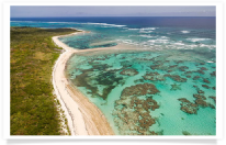 Coral, Beach and Jungle, Atlantic Shoreline Aerial